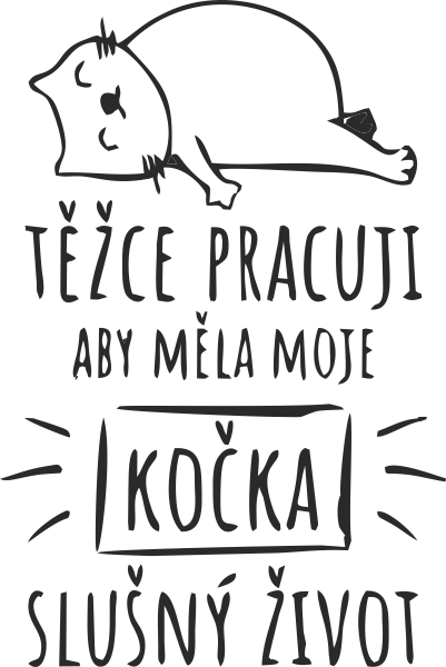 72 Kočka